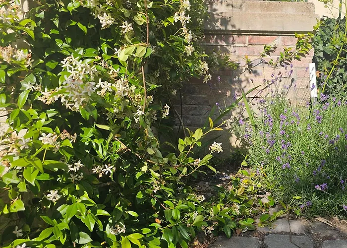 Gite Au Coeur De Tours, Familial Avec Jardin Au Calme, Parking